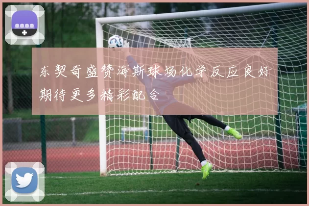 东契奇盛赞海斯球场化学反应良好期待更多精彩配合